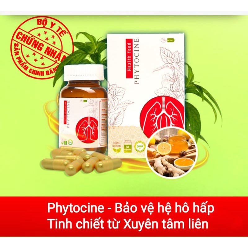 PHYTOCINE - Chiết xuất từ XUYÊN TÂM LIÊN hỗ trợ các bệnh đường hô hấp