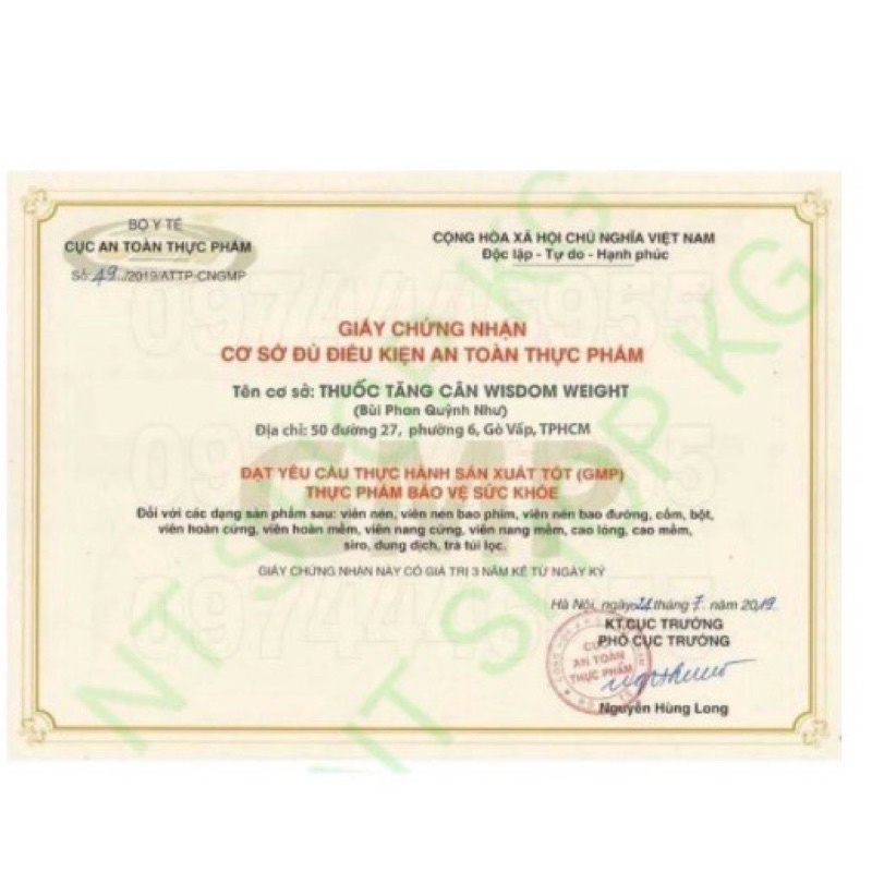 Tăng Cân Wisdom Weight Chính Hãng