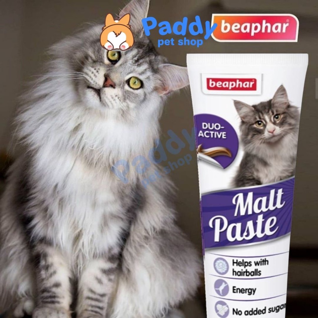 Gel Dinh Dưỡng Vitamin Beaphar Cho Chó Mèo 100g (Nhập khẩu Hà Lan)