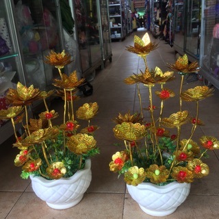 Cây cành vàng lá ngọc