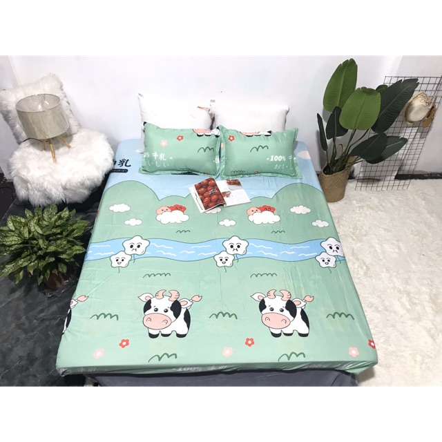 Bộ Ga Gối Cotton Poly Bò Xanh