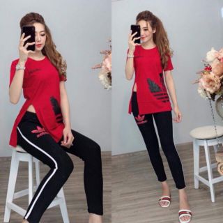 SÉT BỘ COTTON ĐỦ SIZE 40-65KG