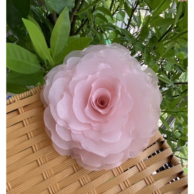 Hoa cài áo - Hoa hồng cài áo cánh đốt tự nhiên