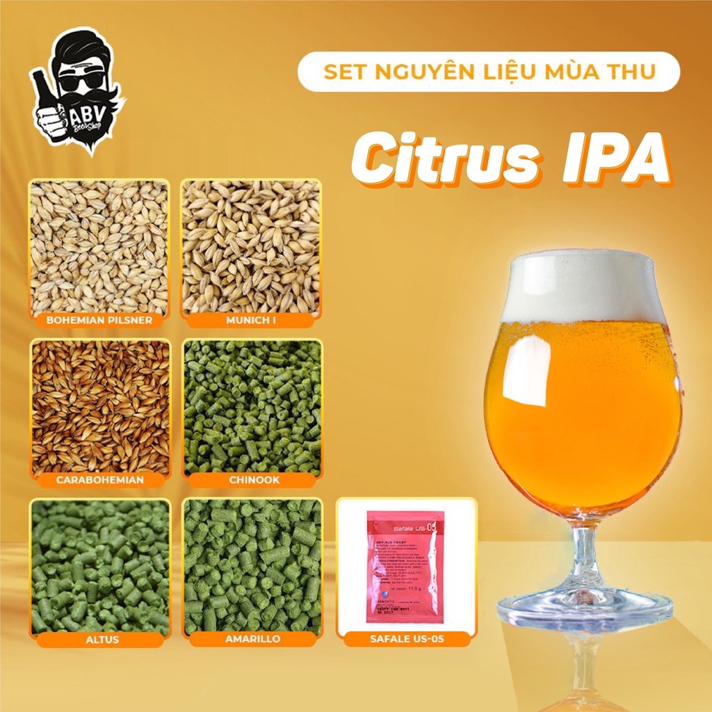 Set nguyên liệu nấu bia Citrus IPA