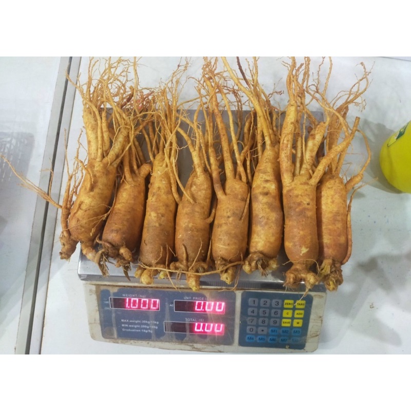 Nhân sâm tươi Hàn Quốc loại 8 củ 1 kg chuẩn Hàn