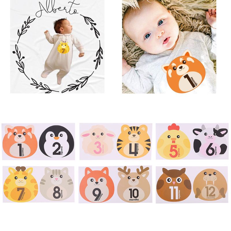 Sticker Đánh Dấu Cột Mốc Phát Triển Theo Tháng Làm Phụ Kiện Chụp Ảnh Cho Bé 1-12 Tháng Tuổi