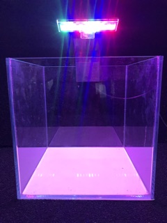 Đèn Led kẹp Coco cho bể thủy sinh
