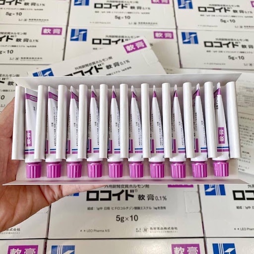 ( 1 Tuýp ) Kem bôi vết đốt côn trùng Rokoito Locoid Ointment 5g