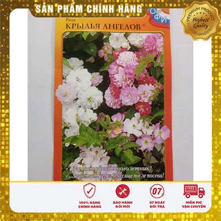 Hạt Giống Cây Hồng Thơm mix Nga