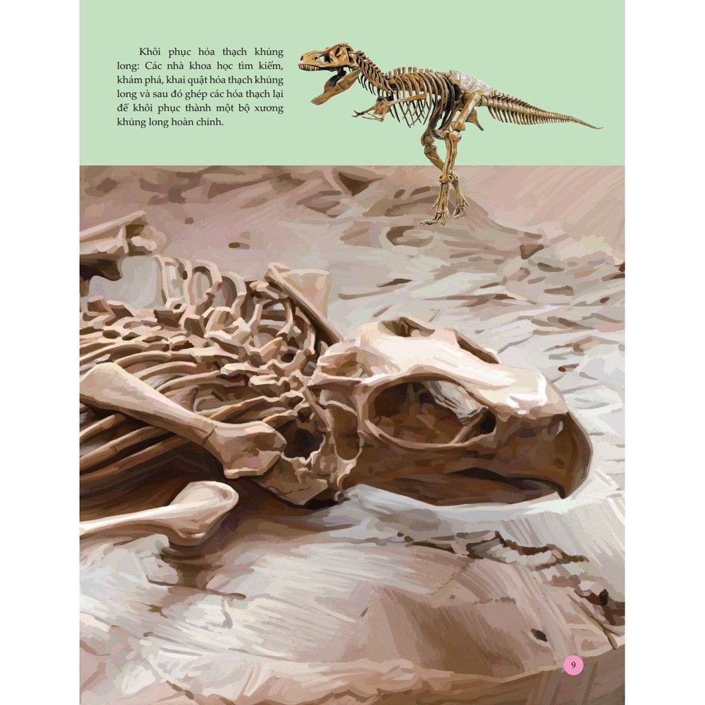 Sách - Bách khoa toàn thư tìm hiểu về trái đất - Vương quốc khủng long