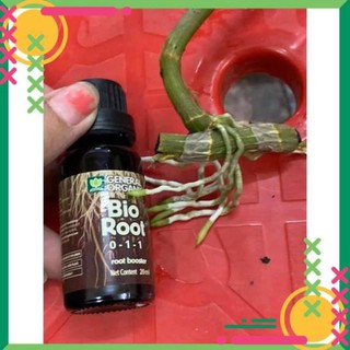 [Nhập Khẩu Mỹ] Thuốc Kích Rễ BioRoot 0-1-1 20ml ⭐Freeship⭐ Lựa Chọn Số 1 Từ Các Nhà Vườn - Kích rễ biorot mỹ