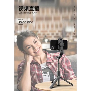 Gậy chống Rung Gimbal Stabilizer L08