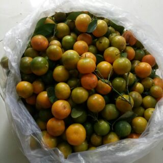 Tắc xí muội
