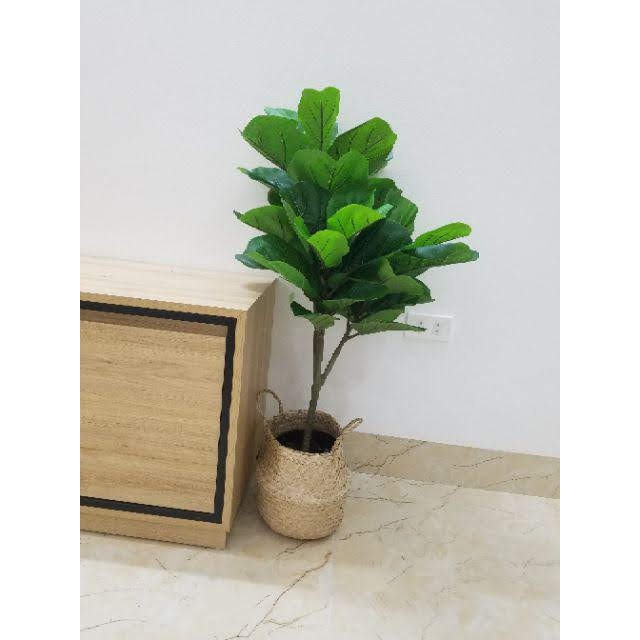 Cây bàng Singapore giả cao cấp cao 100cm  Giá Sỉ-Cây giả