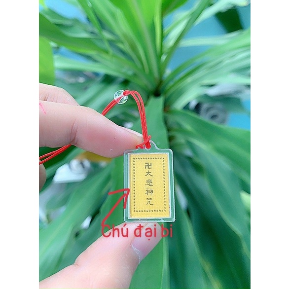 Dây chuyền đại bi