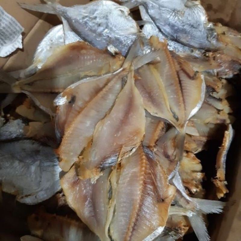 1kg cá sứa khô ngon