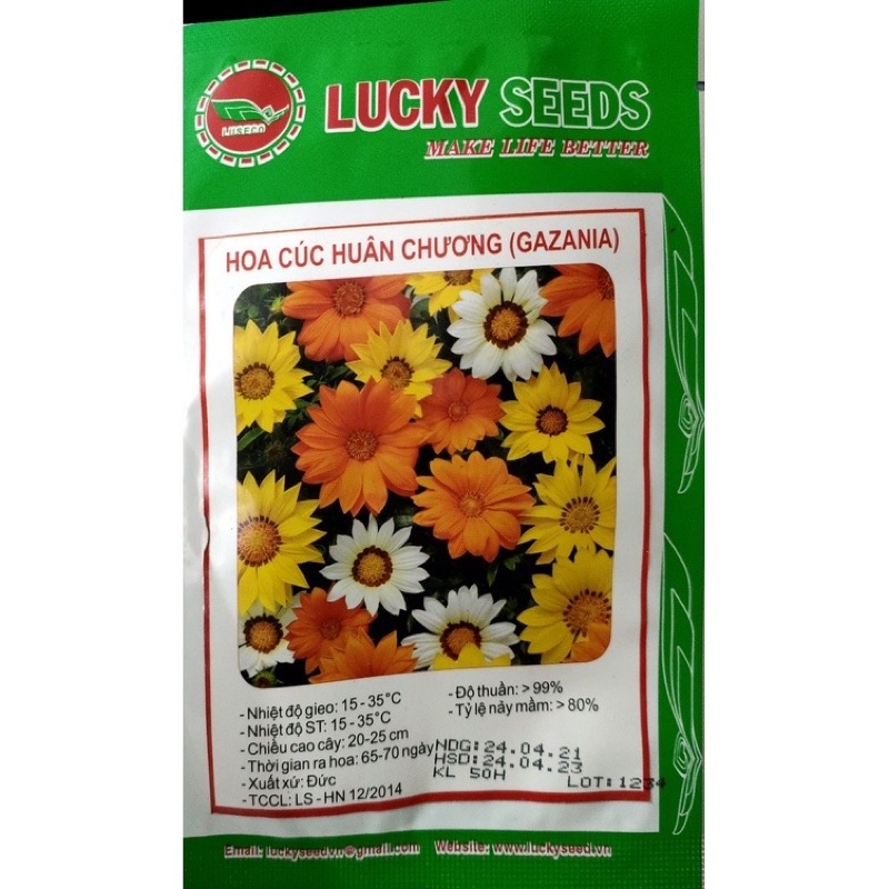 50 hạt giống     cúc Huân Chương mix  mầu (C3.204/B38*v22)