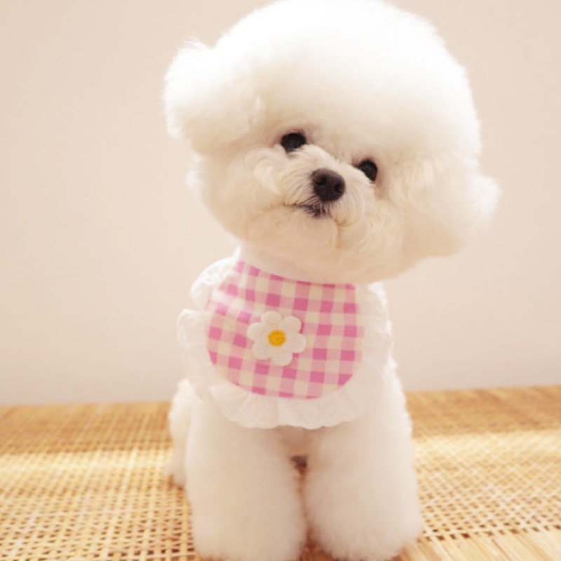 Yếm đeo cổ đáng yêu dành cho thú cưng