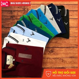 Áo thun nam big size hàng xuất khẩu