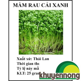 20 gram Hạt giống rau mầm cải xanh