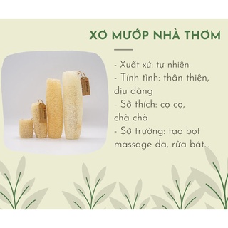 Xơ mướp khô tự nhiên - massage, làm sạch da, tạo bọt xà bông, rửa bát