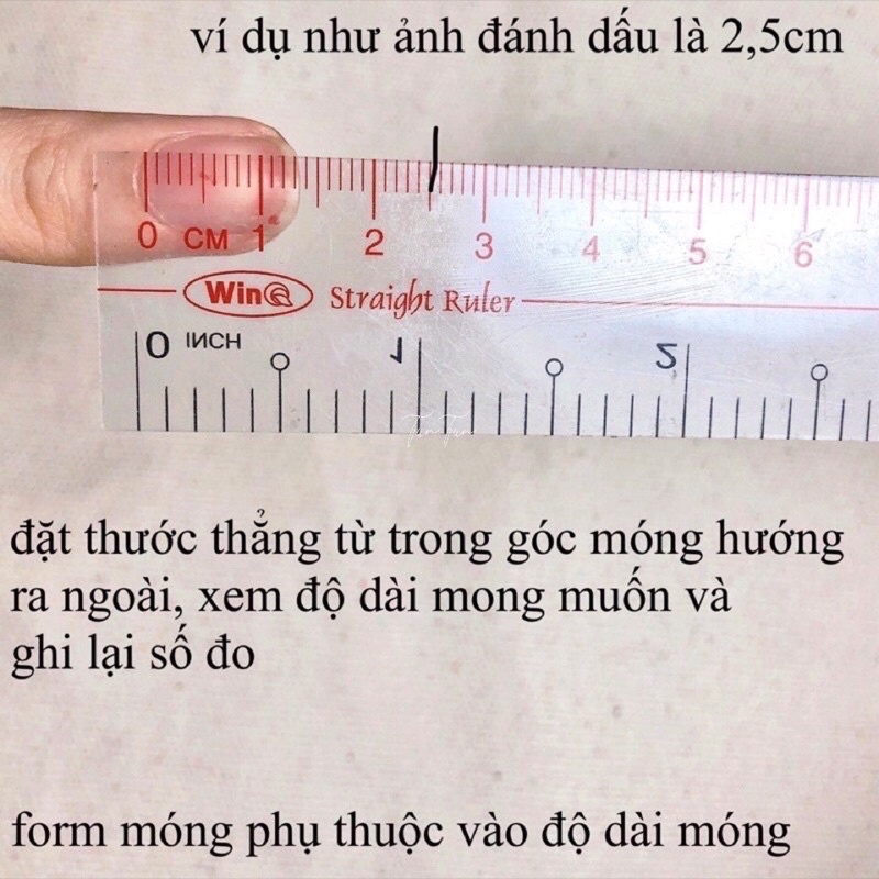 Móng giả thiết kế Nailbox bộ 10 móng tặng kèm keo dũa.