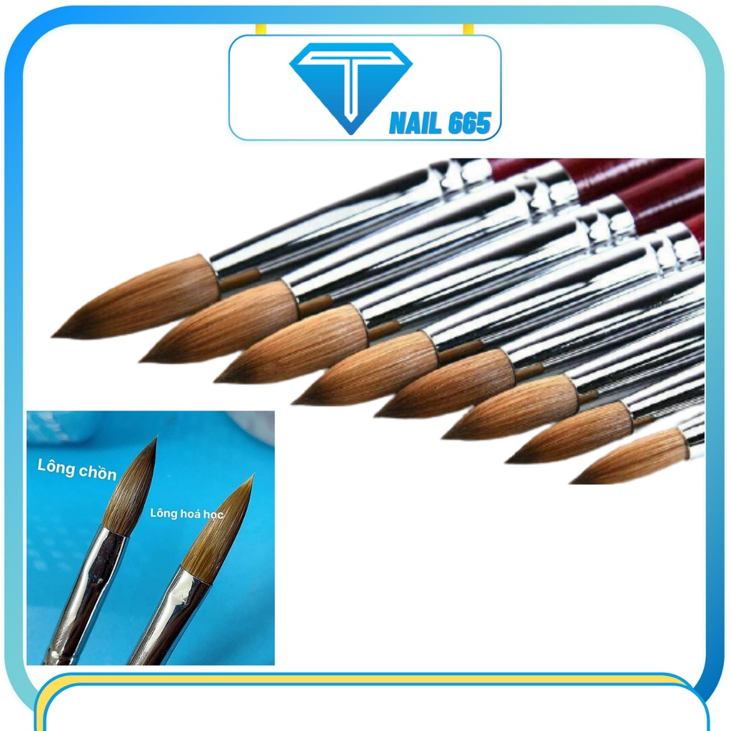 Cọ đắp bột nail Kolinsky , Cọ đắp bột móng nail cao cấp