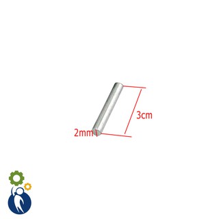 Bộ 10 thanh trục 2mm dài 3cm
