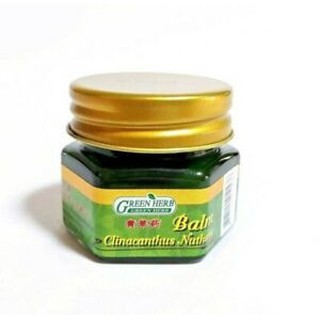 Dầu cù là thơm green herb bạc hà thái lan 10g