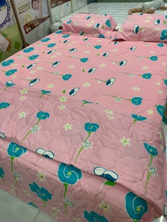 GA GỐI COTTON 💯%  THẮNG LỢI