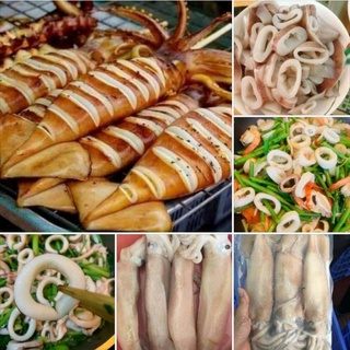🦑Mực ống. 1kg (giao ngay)