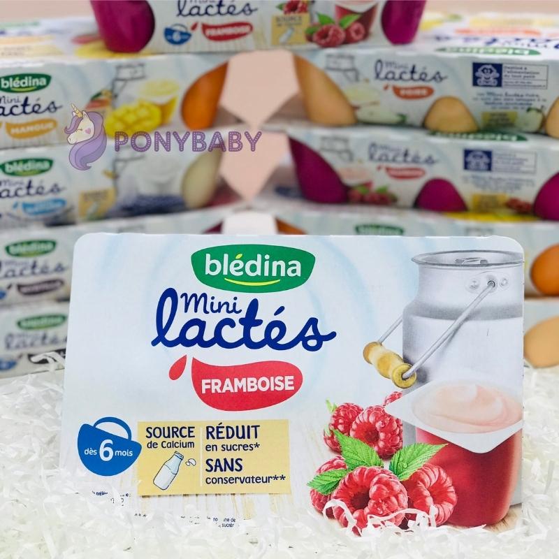 Sữa Chua Nguội Bledina Pháp Cho Bé Từ 6 Tháng Tuổi, Vị Mâm Xôi, Việt Quất, Tự Nhiên, Xoài, Lê , Vỉ 6 Hộp x 55g
