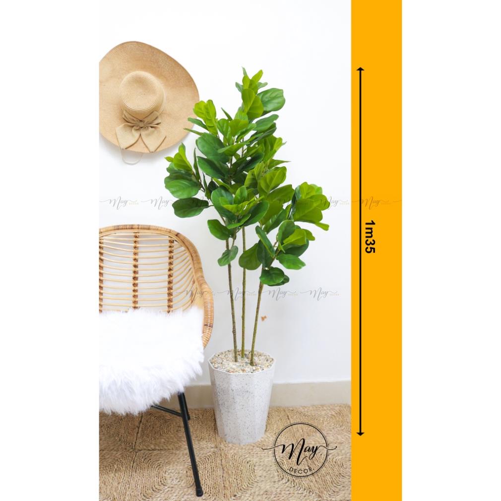 Cây bàng Singapore giả 1m1 - 1m2- 1m35