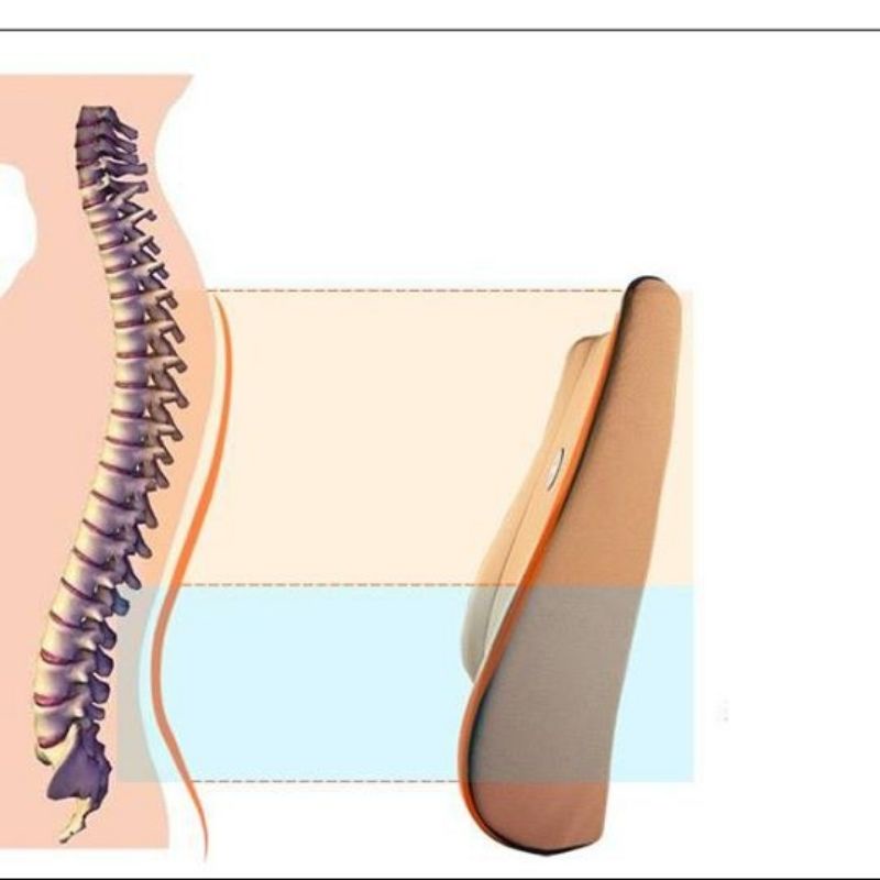 Combo gối tựa đầu lưng cao su non cao cấp siêu đàn hồi, dùng cho xe ô tô, ghế văn phòng ngồi êm ái cảngày không đau nhức