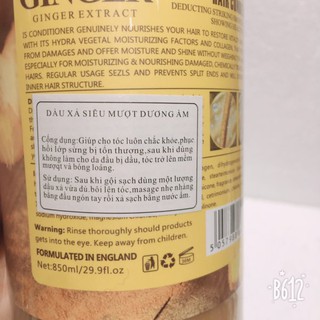 Dầu gội xả GINGER