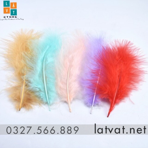 [Mới] Lông Vũ Mềm Mịn Nhiều Màu dùng trong sáng tạo Resin Handmade, sử dụng làm Dreamcatcher, quà tặng ý nghĩa