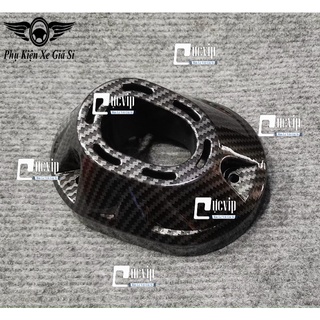 Combo ốp che pô thay thế và chụp đích pô carbon vario 160 đời 2022 - 2023 5325