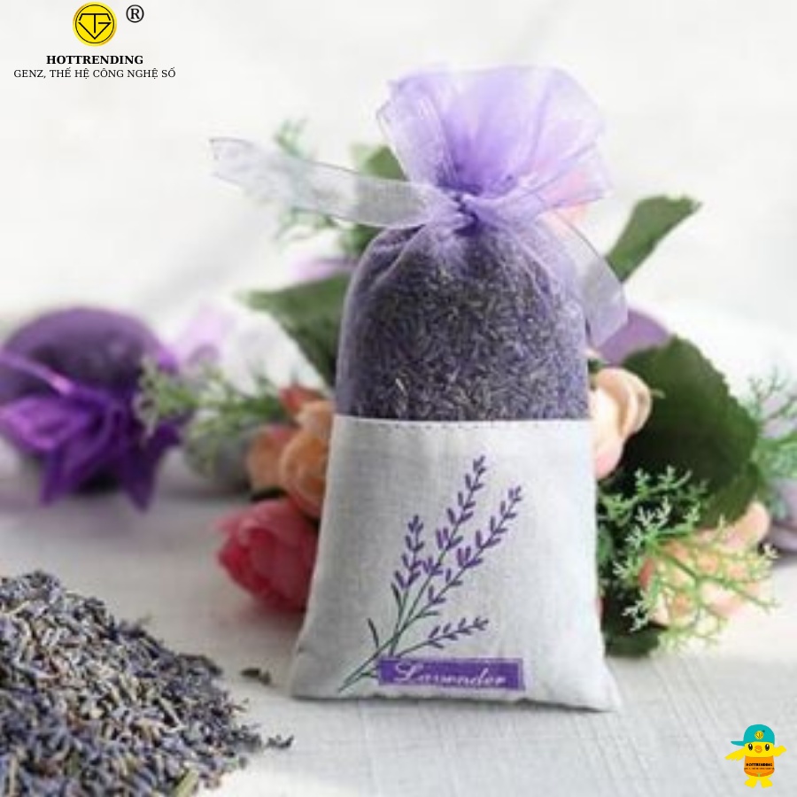 Túi thơm, hút mùi làm từ nụ hoa Lavender khô tự nhiên an toàn cho nhà bạn