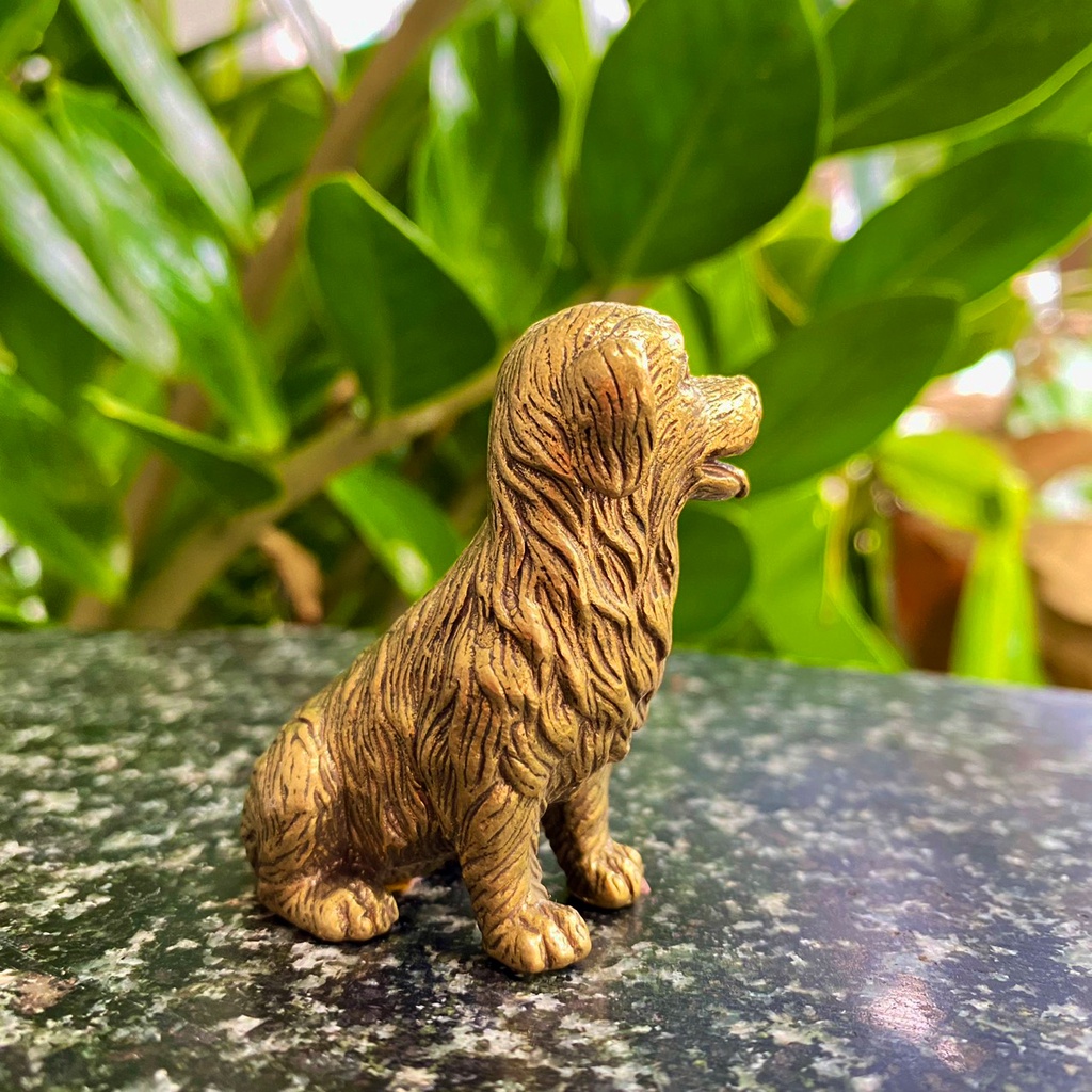 Tượng Đồng Chú Chó Golden Ngồi, Đem Lại Sự May Mắn Tài Lộc cho Người tuổi Tuất, Vật Phẩm Trưng Bày
