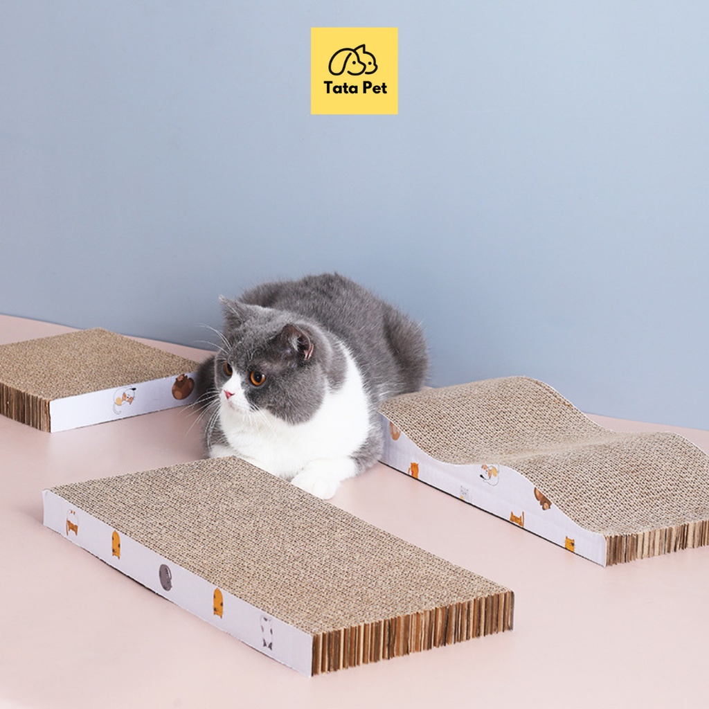 Bàn cào móng cho mèo giá rẻ bằng bìa carton, kèm gói cỏ bạc hà Catnip, 43.5x21x3.5cm (CM19.6) TATA PET