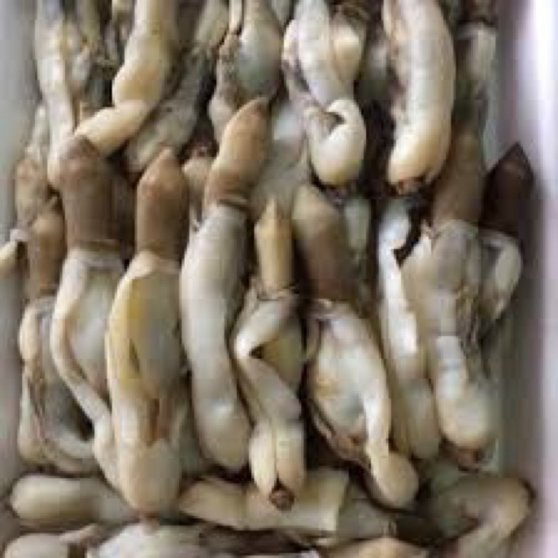 Ruột ốc móng tay làm sạch siêu ngon 1kg (giao tphcm)