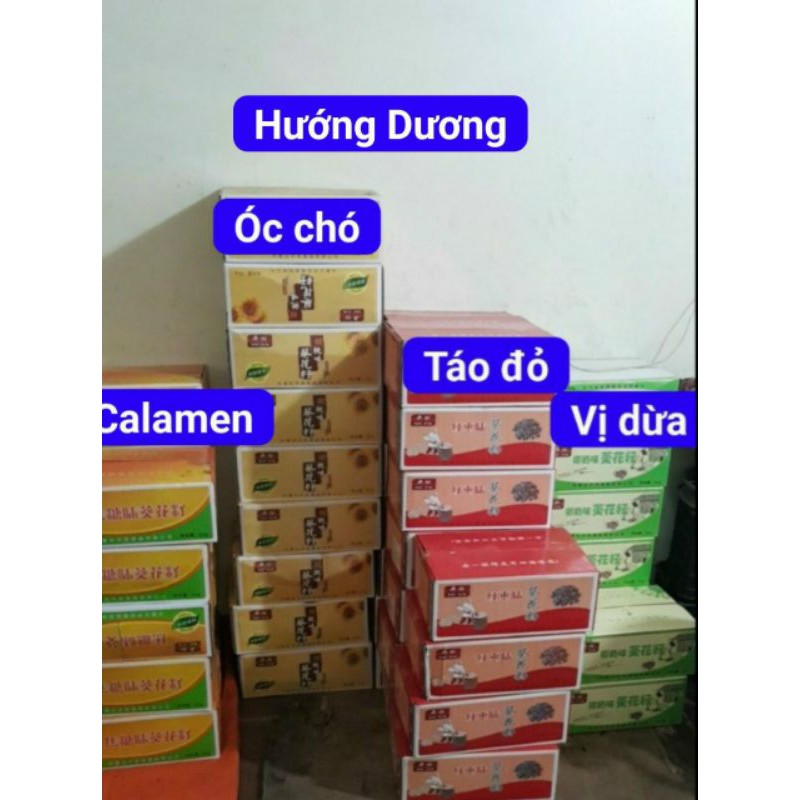 Tổng hợp 4 loại hướng dương tẩm vị siêu ngon 1kg
