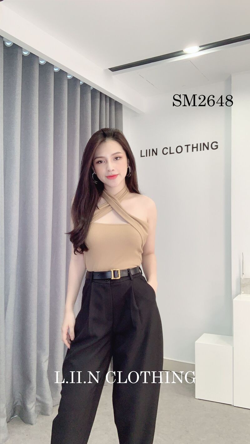 Áo Thun nữ chất đẹp, màu Nâu Cổ Yếm ôm body tôn dáng Liin Clothing SM2648