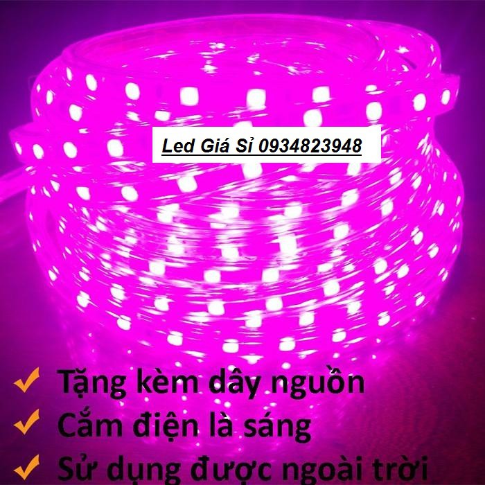 Đèn LED dây 4040 10m ống nhựa 220v tặng kèm 1 dây nguồn tốt