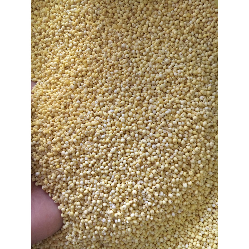 1kg hạt kê nếp vàng Nghệ An bao dẻo ( đã tách vỏ)