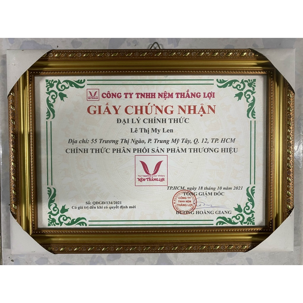 Nệm cao su non Thắng Lợi 2mx2m4 chính hãng (free ship)