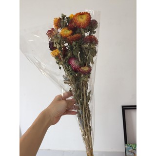 BÓ HOA BẤT TỬ KHÔ ĐẸP