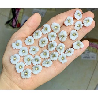 Hoa bột Nail - Hoa gắn móng trang trí móng