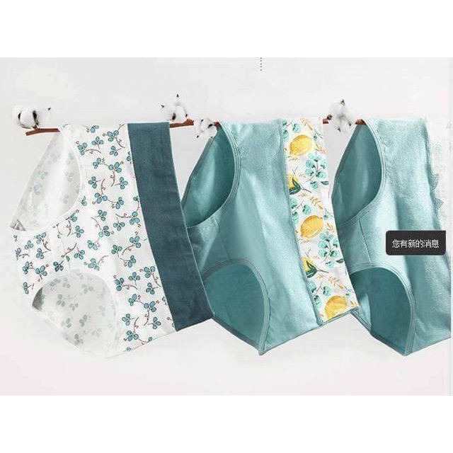 [⚡️CHỈ HÔM NAY] Hộp 4 quần chíp cạp cao hộp hình môi gen bụng siêu tốt Hàng mới | BigBuy360 - bigbuy360.vn