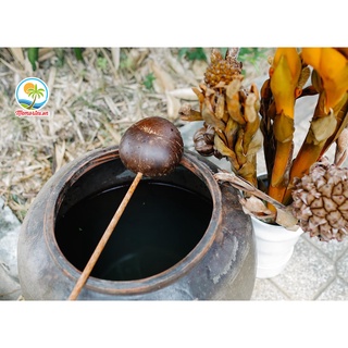 Gáo Dừa Múc Nước, Tưới Cây, Làm Bánh, Gội Đầu Dưỡng Sinh, Spa,  Phụ Kiện Trang Trí, Chụp Hình